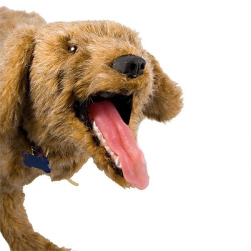 Veterinary training manikin - Jerry K-9 - Rescue Critters - CPR / bandaging / dog