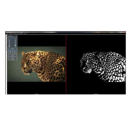 Analysis software - MiPis  - Microptik BV - medical / for digital microscopes