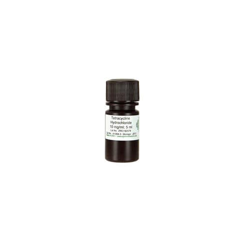 Solution reagent - A1004 series - Zymo Research - for amplification reaction / Escherichia coli