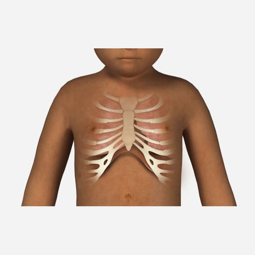 Auscultation simulation module - SIMTICS - vital sign / for pediatric care / pediatric