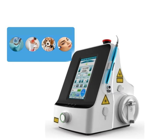 Veterinary biostimulation laser - SIFLASER-1.2BP - SIFSOF - diode / CO2 / tabletop