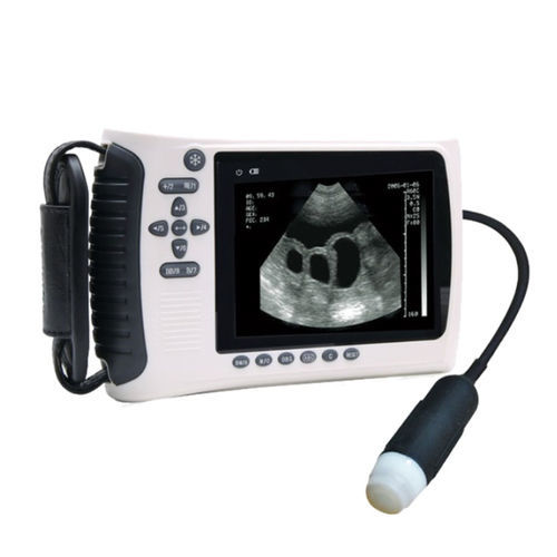 Hand-held veterinary ultrasound system - SIFULTRAS-4.4 - SIFSOF - multipurpose