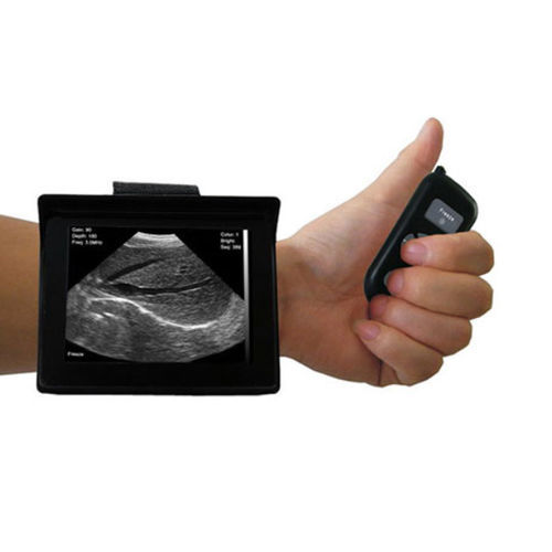 Portable veterinary ultrasound system - SIFULTRAS-4.3 - SIFSOF - multipurpose / for small animals / for large animals