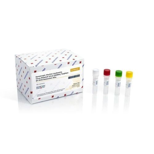 XMRV detection kit - TM347 series - Norgen Biotek - for prostate cancer / oncology / biological