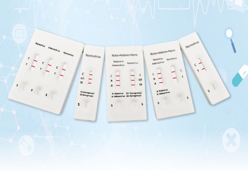 Rapid gastrointestinal infection test - INRV-C61 - Hangzhou Biotest Biotech Co. Ltd. - for genotyping / norovirus / rotavirus