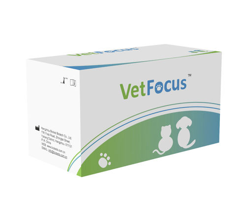 Cat rapid test - VFCV-C91 - Hangzhou Biotest Biotech Co. Ltd. - for felines / virus / for feline calicivirus