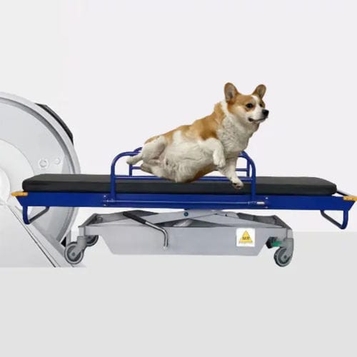 MRI stretcher trolley - HO-709-2 - Hongkong Medi - hydraulic / height-adjustable / veterinary