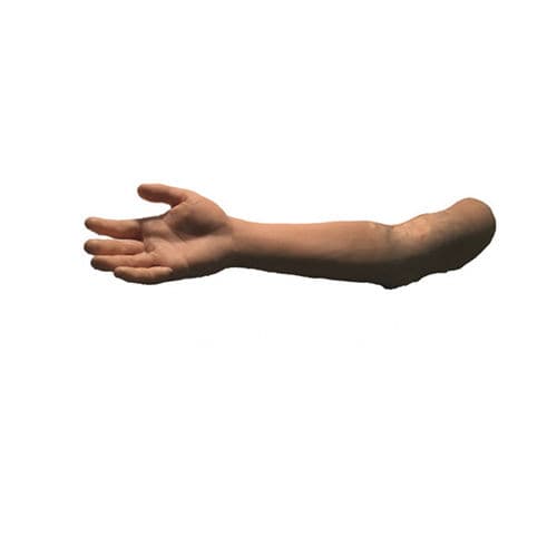 Ultrasound imaging test phantom - Pure Imaging Phantoms - arm