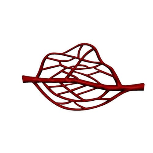 Blood vessels vascular model - Pure Imaging Phantoms - brain artery / cerebral / intracranial
