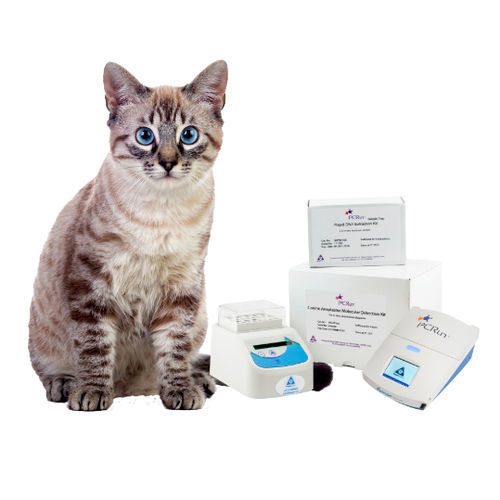 Veterinary detection kit - PCRun® - Biogal – Galed Laboratories - for animals / lateral flow / molecular