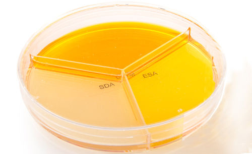 Veterinary laboratory reagent - MYKODERMOASSAY TRIO - MEGACOR Diagnostik - agar gel / for microbiology / for cell culture