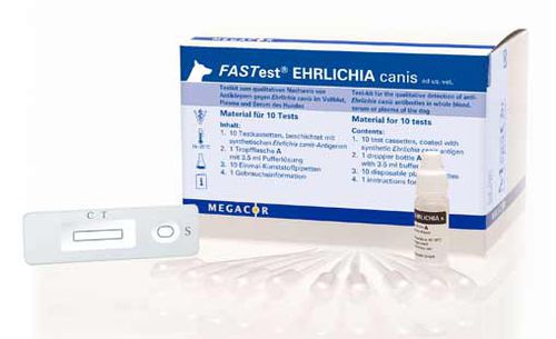 Rapid ehrlichiosis test - FASTest® EHRLICHIA canis - MEGACOR Diagnostik - for dogs / for antibodies / Ehrlichia