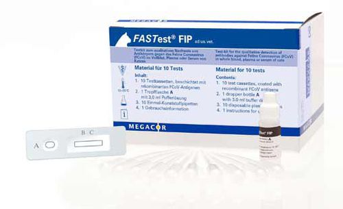 Rapid infectious disease test - FASTest® FIP - MEGACOR Diagnostik - for cats / for antibodies / coronavirus