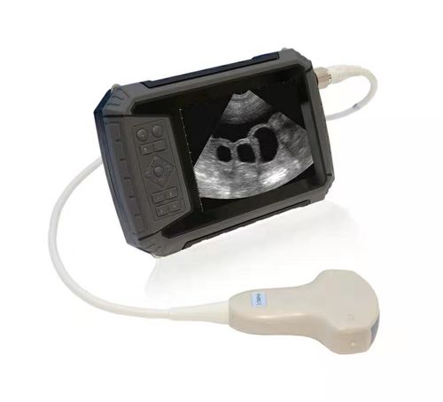 Hand-held veterinary ultrasound system - P6  - JZH Greenenergy - multipurpose / for small animals / for large animals