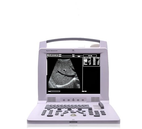 Portable veterinary ultrasound system - PL-3018VP - JZH Greenenergy - multipurpose / for small animals / for large animals