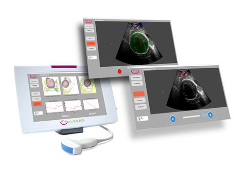 Medical software - SensUS Touch  - Amolab - for obstetric examinations / clinical / visualization