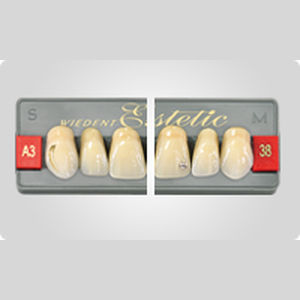 Acrylic dental prosthesis - Encrusted WIEDENT Estetic,  ALMAMISS - Wiedent - anterior teeth