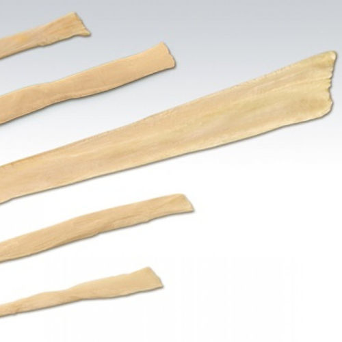 Peroneus longus tendon ligament prosthesis - NeoSys Medical Solutions - gracilis tendon / semitendinosus tendon / allograft