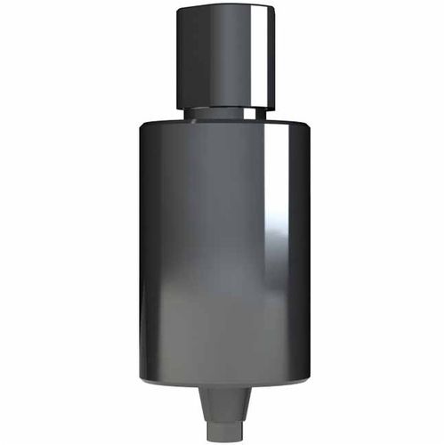 Premilled implant abutment PMASTHWP/CC Dynamic Abutment Solutions