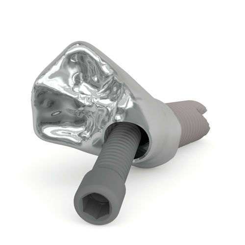 Prosthodontic screw - Kiran® Screw - Ziacom Medical