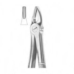 Canine teeth dental extraction forceps - 1004 - Thempson - English pattern