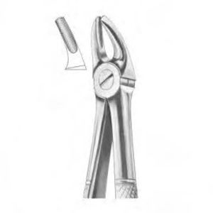 Premolar dental extraction forceps - 1007 - Thempson - English pattern