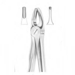 Canine teeth dental extraction forceps - 1147 - Thempson - for upper incisors / English pattern
