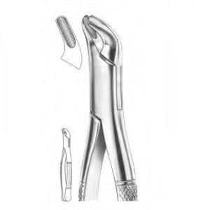 Premolar dental extraction forceps - 1225 - Thempson - American pattern