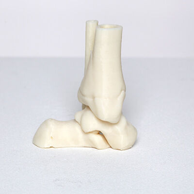 Bone model - 3D Lifeprints UK Ltd - ankle