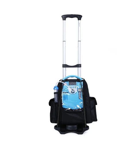 Medical oxygen concentrator - 00102 - Zhengzhou Olive Electronic Technology - mobile / portable / PSA