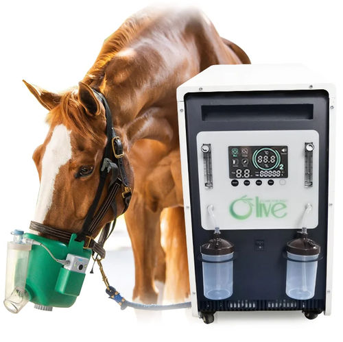 Veterinary oxygen concentrator - 00250 - Zhengzhou Olive Electronic Technology - on casters / PSA / continuous flow