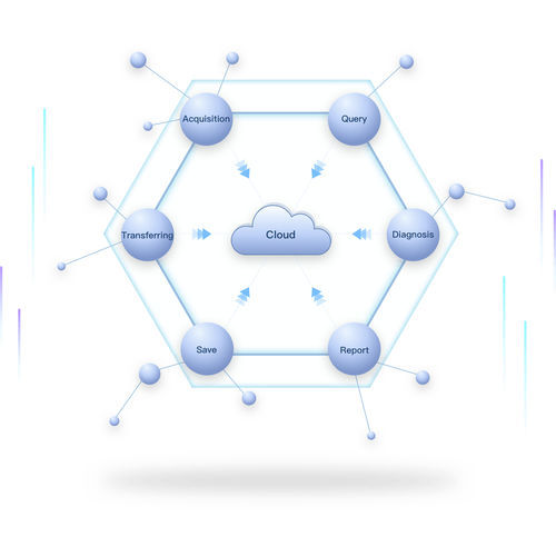 Medical cloud computing - SinoVision - web-based / reporting / data acquisition