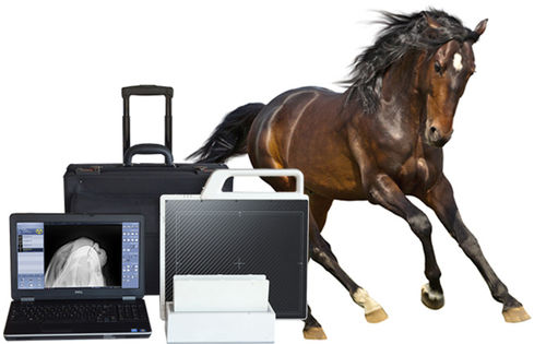 Veterinary radiography acquisition system - DR - MYVET - portable