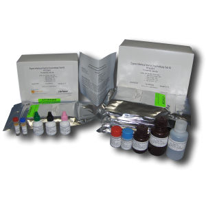 Infectious disease test kit - FP-ELISA II - SafePath Laboratories - for anemia / for equines / for antibodies