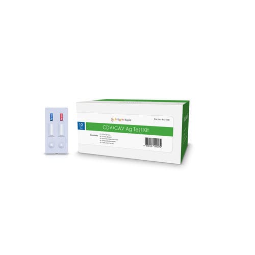 Canine distemper test kit RC1108DD Bionote for canines / for antigens / adenovirus
