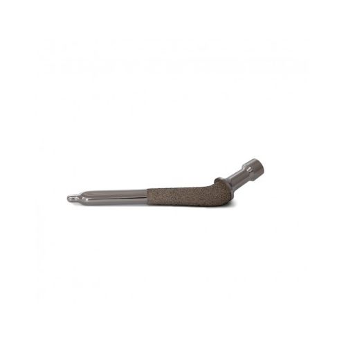 Cementless veterinary hip prosthesis - BP-STEM-SC-2 - PORTE.Vet - for total hip arthroplasty