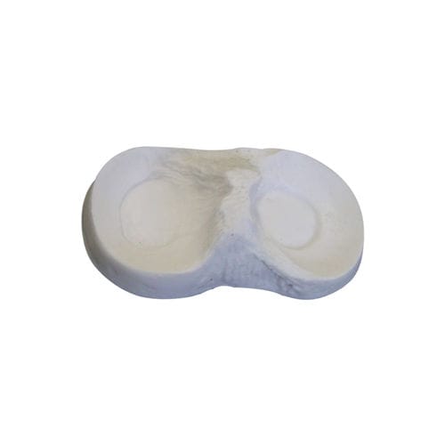 Bone model - 6000-05 - Nacional Ossos - meniscus / orthopedic surgery / for teaching