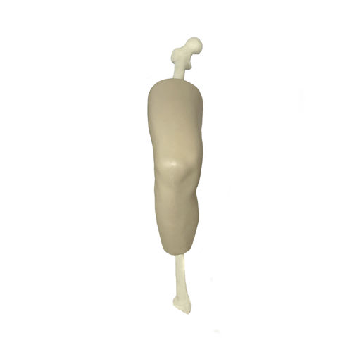 Knee model - 10585 - Nacional Ossos - bone / joint / skin