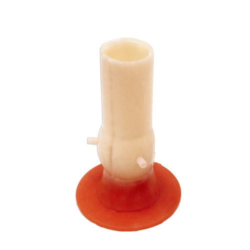Cardiac anatomical model - 0109 - LifeLike BioTissue Inc. - coronary arteries / aortic valve / cardiac surgery