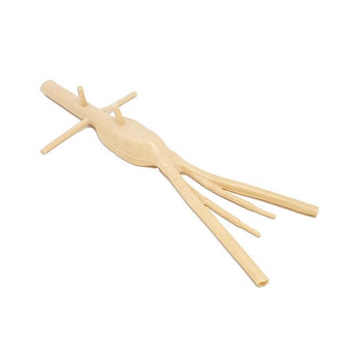 Abdominal aortic aneurysm model - 021 series - LifeLike BioTissue Inc. - artery / surgery / training