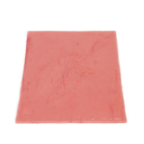 Bladder model - 060 series - LifeLike BioTissue Inc. - surgical / for urological care / training