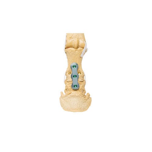 Canine veterinary bone plate - ALPS® PIP - KYON - generic / proximal