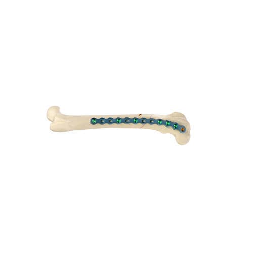 Canine veterinary bone plate - ALPS-I - KYON - generic
