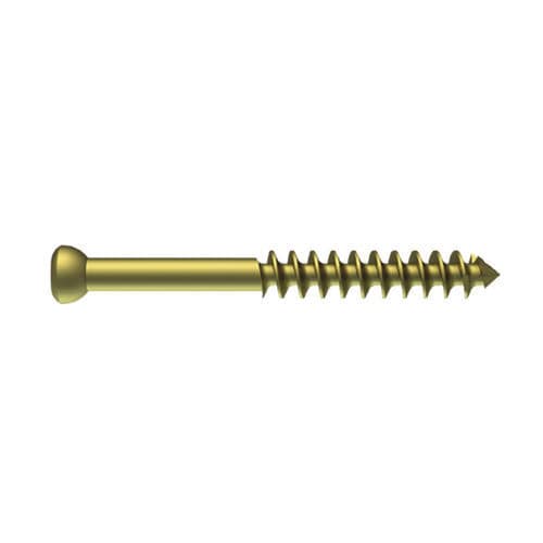 Large bone fragment compression bone screw - PNM2029 - NORMMED Medical Devices - cannulated / metallic / non-locking