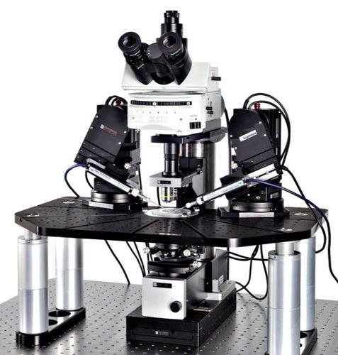 Optical microscope - Scientifica SliceScope Pro 2000 - Scientifica ...