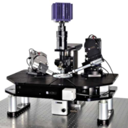 Research patch-clamp system - SliceScope Pro 3000 - Scientifica