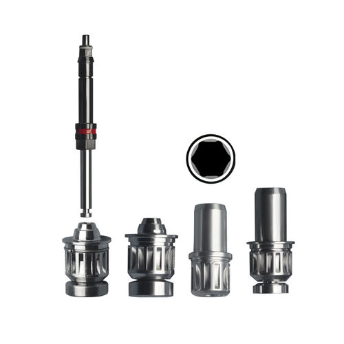Handpiece dental screwdriver - Shanghai LZQ Precision Tool