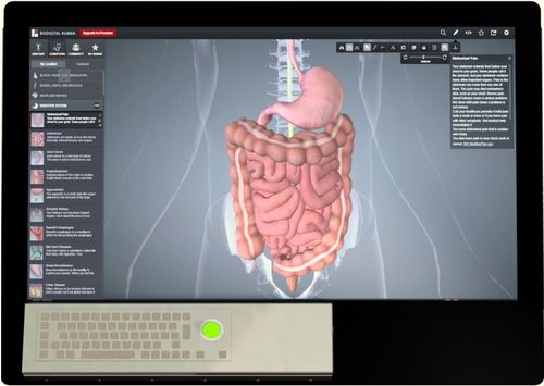 Medical imaging PACS - GP-446 - Cizgi Teknoloji - medical
