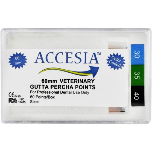 Veterinary dentistry Gutta-percha point - 06-04-002 - Accesia