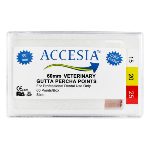 Veterinary dentistry Gutta-percha point - 06-04-001 - Accesia
